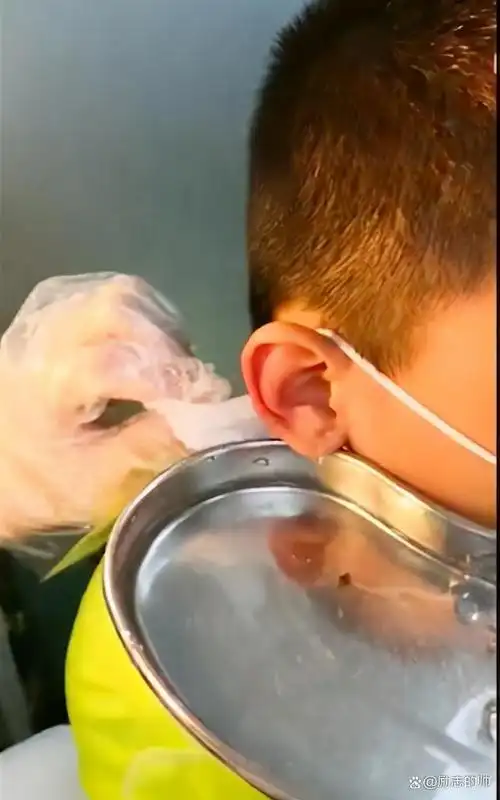 九成人不知"蟑螂的天敌"是啥:想消灭"它",这个妙招要试一试