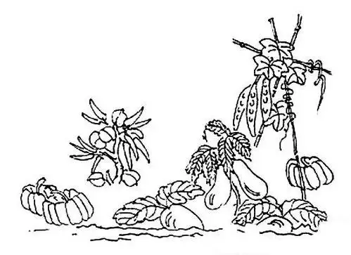 菜地简笔画图片大全菜地怎么画菜园里管理小菜园的智能设备设计丨peng