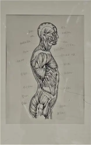 鲁迅美术学院陆国斌教授艺用人体解剖基础教学展在长春开幕