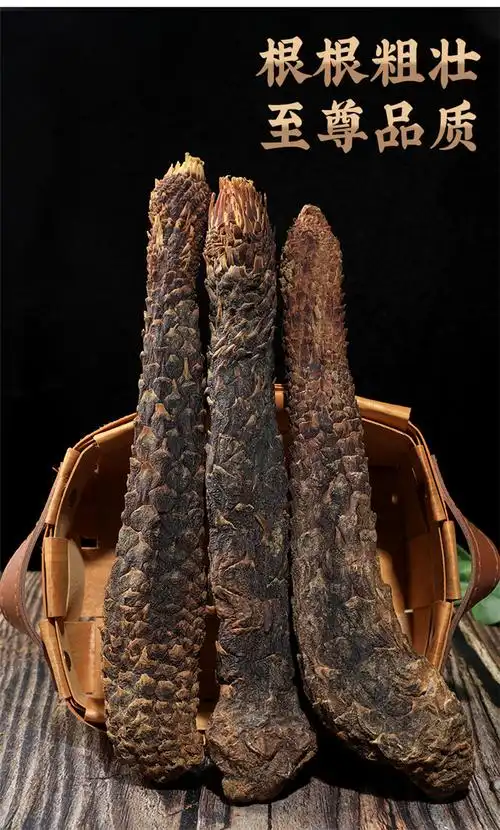 【优秀】平顶山肉苁蓉的功效与作用