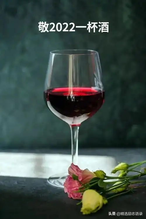 享受喝红酒心情的幽默说说有哪些?_晶羽文学网