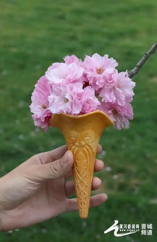 公园里生长的花朵做"搭档",通过错位摄影拍摄的创意图片