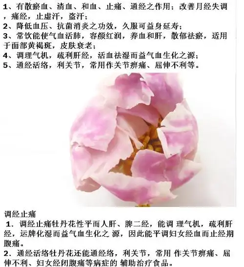 牡丹花油精的功效与作用油精有什么功效α亚麻酸