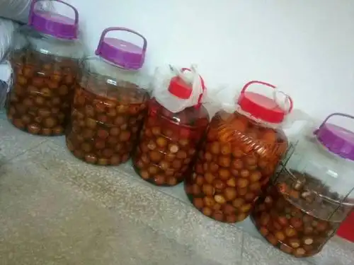 纯天然野生无公害野果泡酒