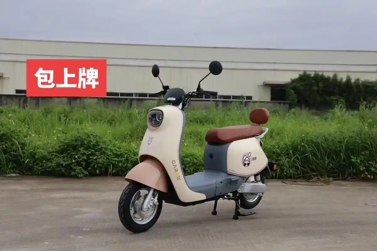 金箭国标新款g3.不用驾驶证包上牌照.#电动车 #包上牌 # - 抖音