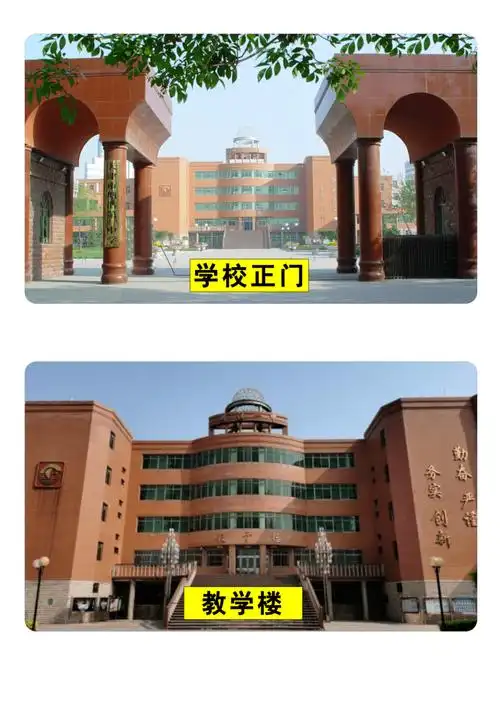 塘沽十三中滨海新区汉沽汉沽第八中学汉沽第九中学汉沽第一中学滨海