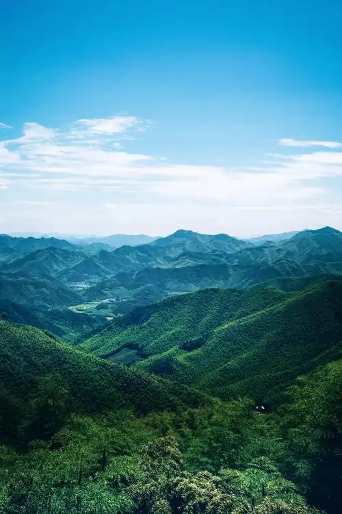 时维盛暑,序属炎夏,余游莫干之山. 
莫干山隐于