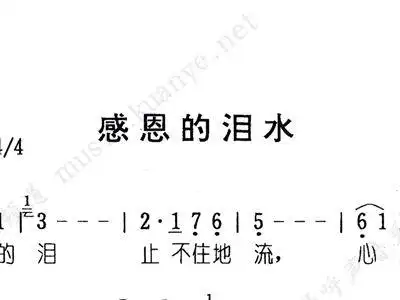 感恩的泪 合 歌谱 简谱