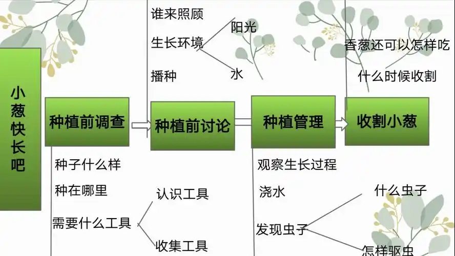 过程,初步了解植物生长的基本条件,作用各种感官去探索发现认识小葱的
