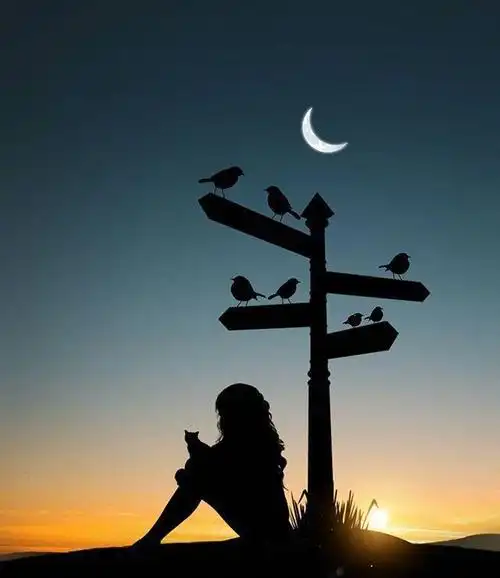 感情说说很现实的句子对对方失望_失望的句子_句子火