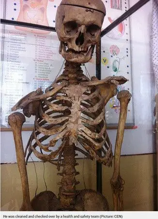 罗马尼亚小学校长死后做成人骨标本支持教学