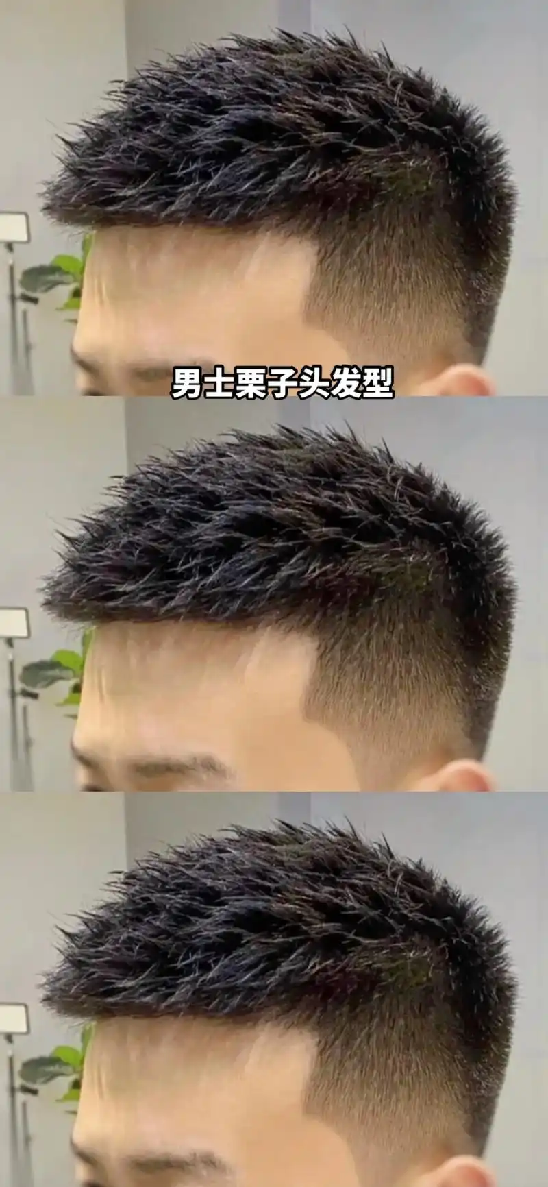 男士栗子头发型