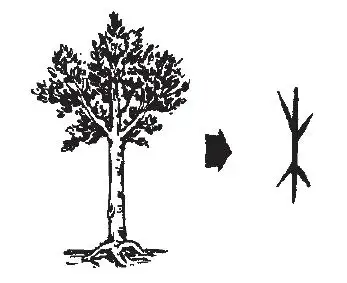 单体字(4)- 五行