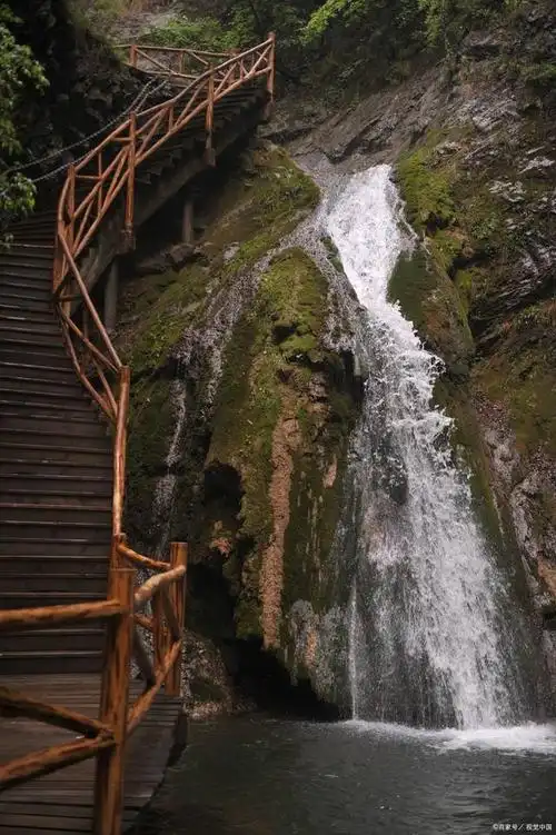 重庆黑山谷景区位于重庆市万盛区黑山镇境内,距离重庆市区约110公里