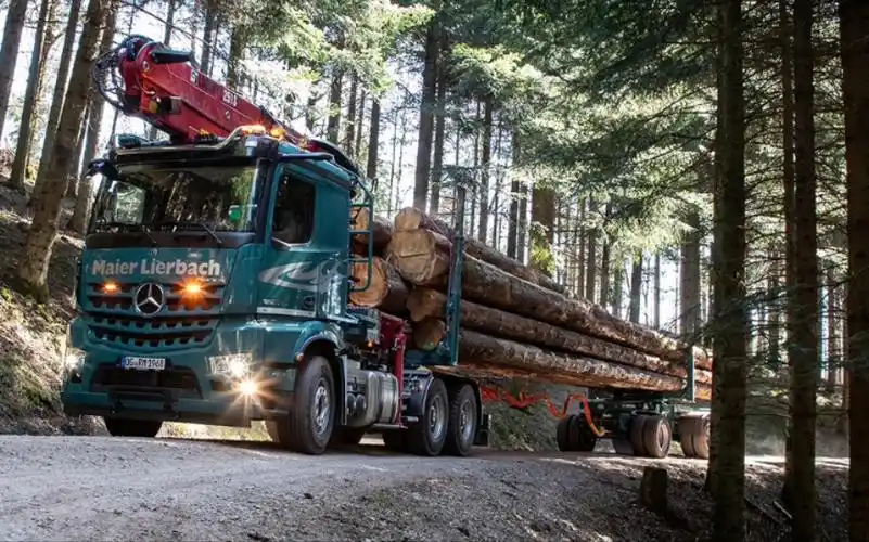 [熟肉]在黑森林运输原木的奔驰arocs卡车