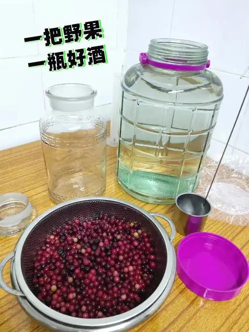 野果泡酒爱好者