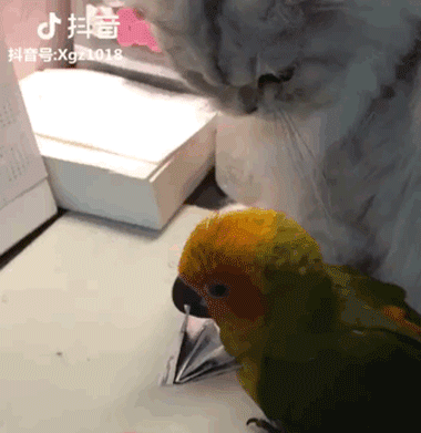 380_391gif 动态图 动图