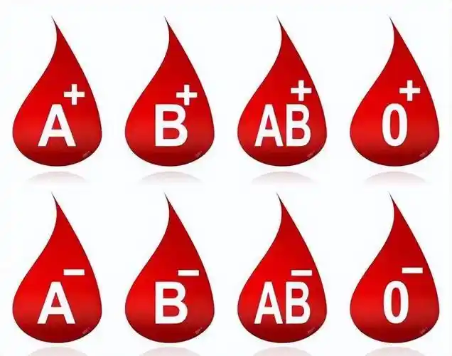 血型与寿命的关系曝光!