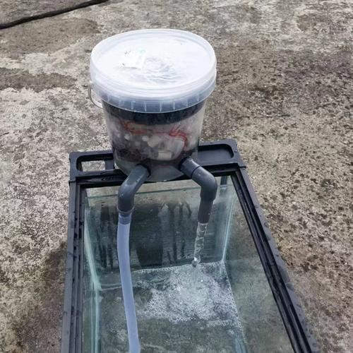 康卿室内小鱼池过滤器生化过滤桶外置净化水过滤设备乌龟缸滤水桶