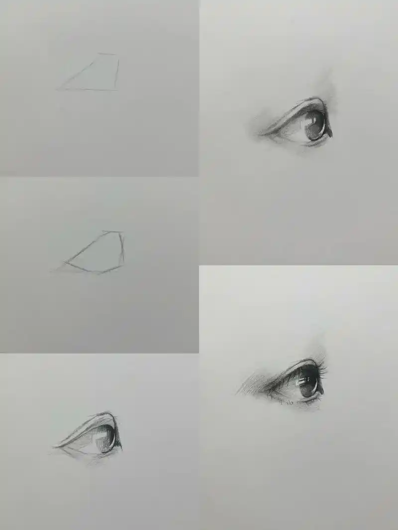 素描侧面眼睛画法 #素描 #素描动物 #绘画教程 #一起学画 - 抖音