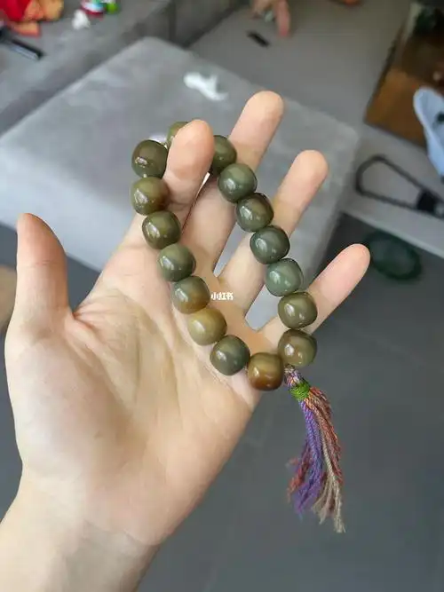 菩提根变色过程