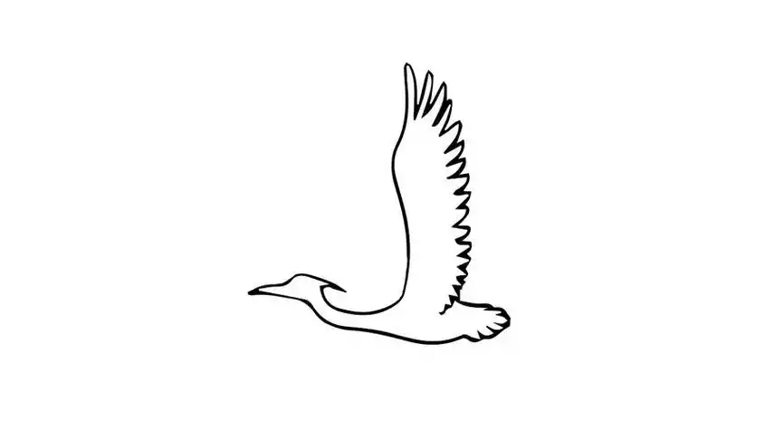 白鹭怎么画简笔画又简单又漂亮(白鹭怎么画简笔画正在飞) -【爱个性】