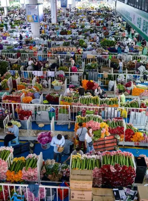 斗南花市繁荣夜经济让呈贡更精彩