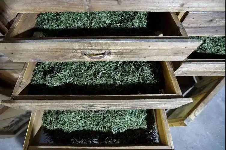 舌尖上的中国茶叶国家级非遗代表性项目黄山毛峰绿茶制作技艺