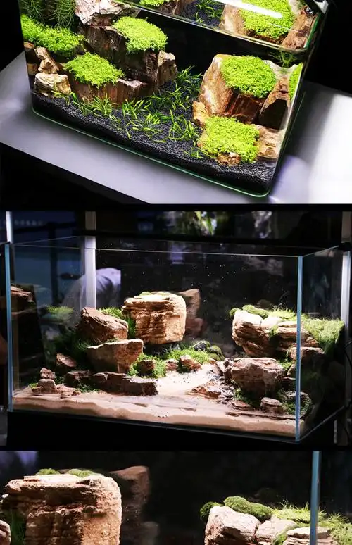 天然木化石原石鱼缸造景石草缸假山石水族箱装饰造景石头木化石1015