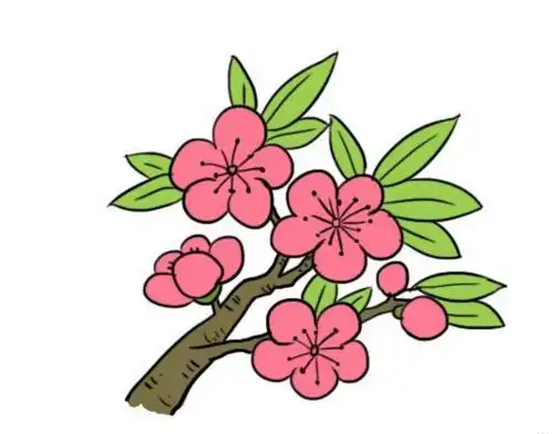 桃花简笔画画法图解