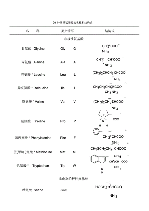 20种常见氨基酸的名称和结构式 - 副本.docx-原创力文档