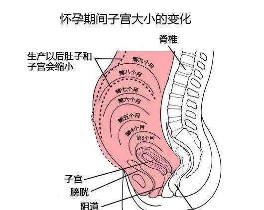 为什么生完孩子更容易显老,月子里三点不注意,容易未老先衰|子宫|关节