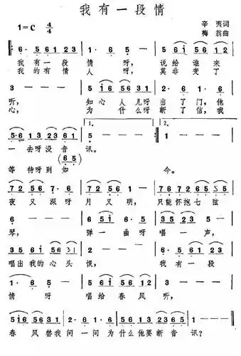 流行笛子曲|《我有一段情》笛子演奏(c调筒5)