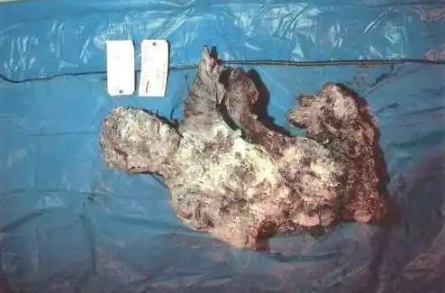 911事件嫌犯扎卡里亚斯-穆萨维,该法院8月1日在线展出了案件审理过程