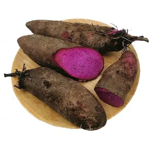 博多客根茎类报价_参数_图片_视频_怎么样_问答-苏宁易购