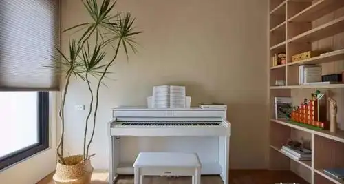 钢琴房设计欣赏