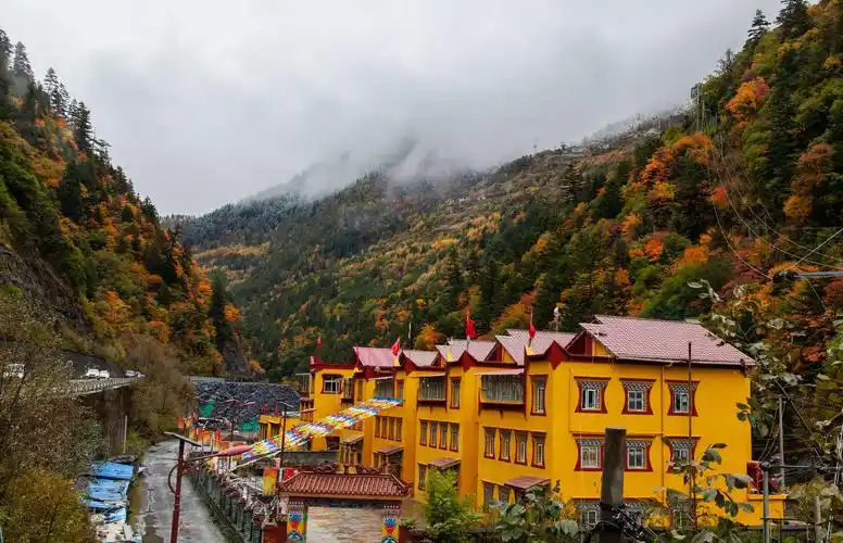 其它 米亚罗之秋 写美篇米亚罗风景区位于四川省理县境内岷江上游杂谷