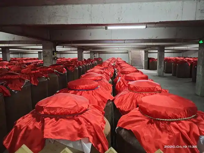 参观菏泽杨湖酒厂纪实照片展示