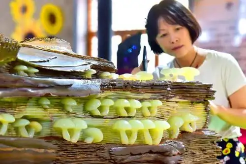 视频| 收奇宝异珍 藏百味人生——王军旗和他的收藏故事