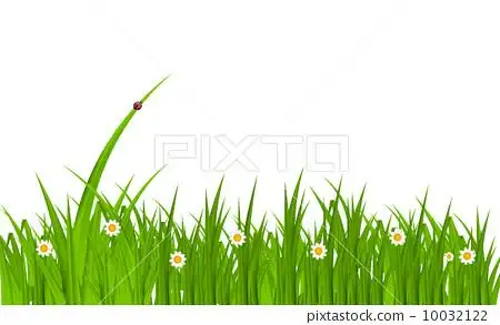 插图素材: summer abstract background with grass.