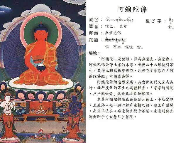 什么 2011-05-02 佛究竟是什么 10 2014-05-07 佛教的究竟是什么意思