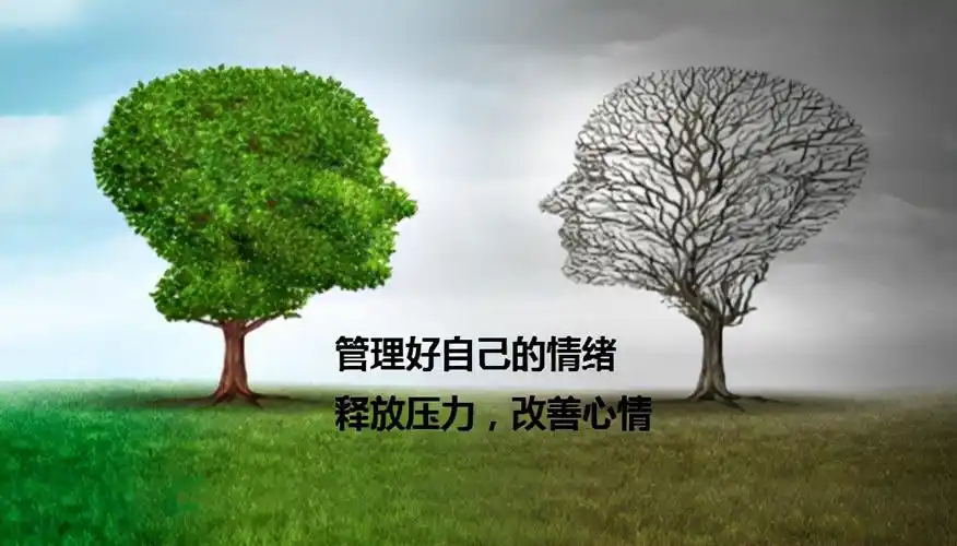 如何管理好自己的情绪释放压力改善心情