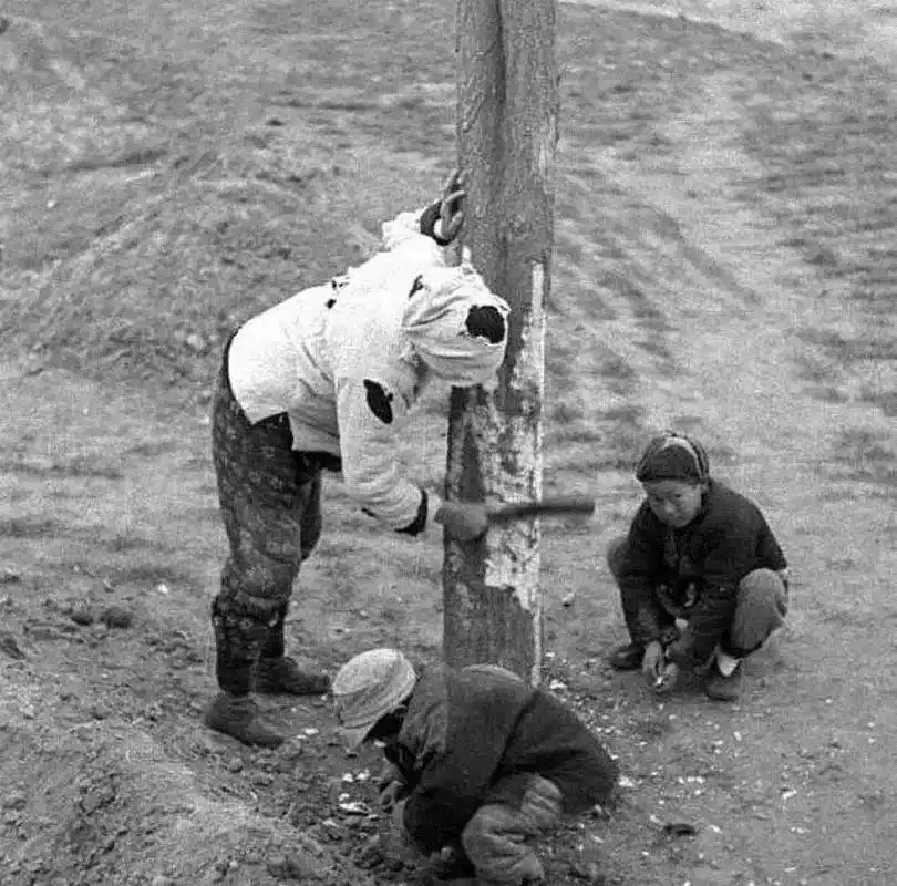 1942河南大饥荒,看到这些图片你有何感想.请珍惜我们当下来 - 抖音