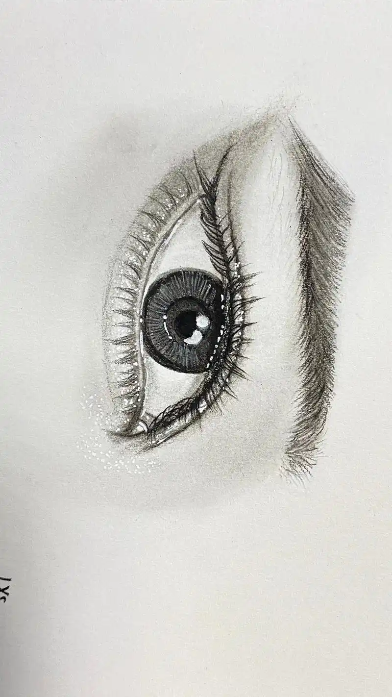 素描学习-眉眼组合二-丹凤眼#画画 #画画使我快乐 #素描  - 抖音