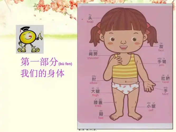 幼儿园大班主题:我们的身体_第2页