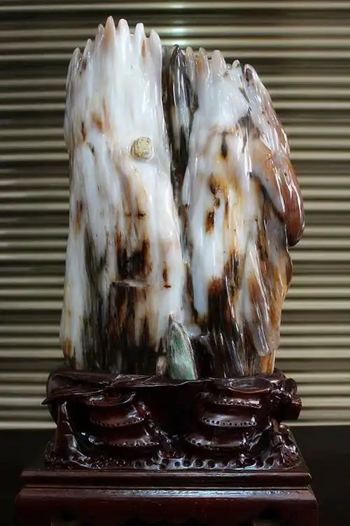 大自然的鬼斧神工----树化玉