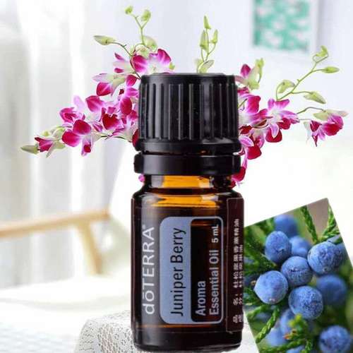 doterra多特瑞官网正品杜松浆果单方精油5ml香薰单方精油