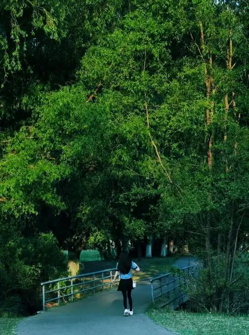 飘风不终朝骤雨不终日