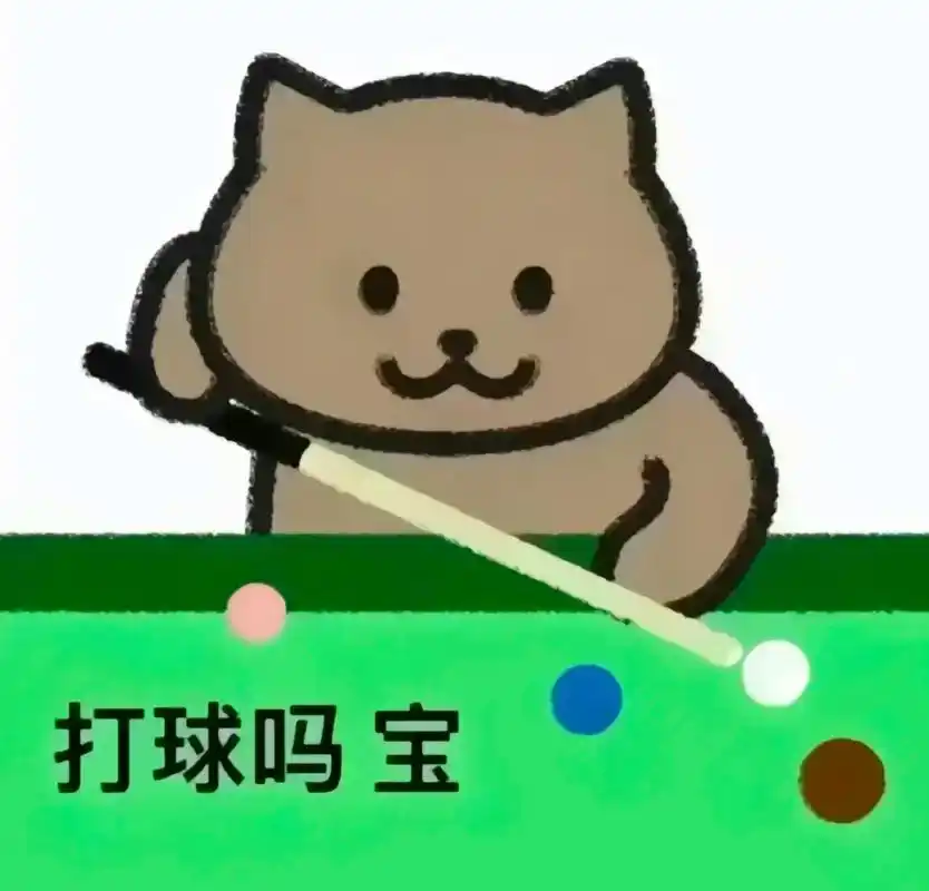 落魄谷种寒风吹 拿杆我就开始追 #就是爱打台球 #追分🎱 - 抖音