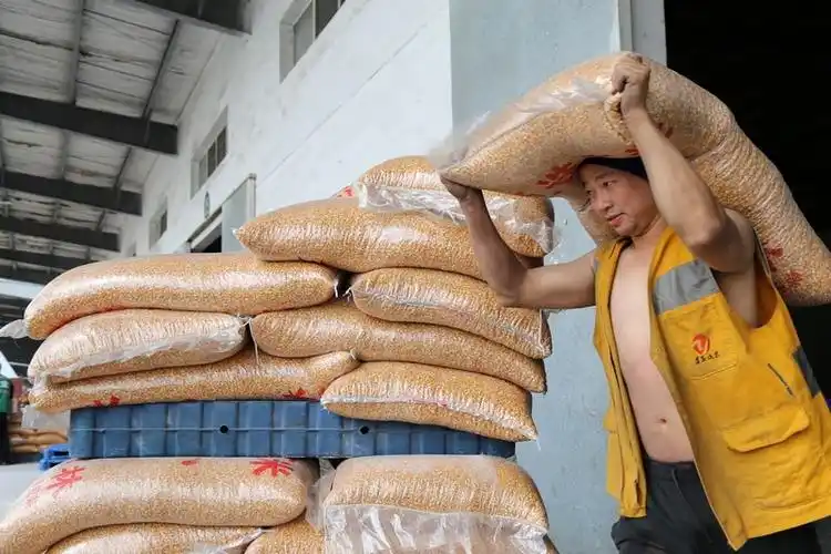 5月2日,遵义车务段阁老坝站装卸工人正在作业.高大华摄